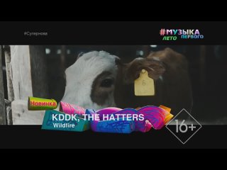 kddk, the hatters - wildfire [music first] (16) (new) (supernova)